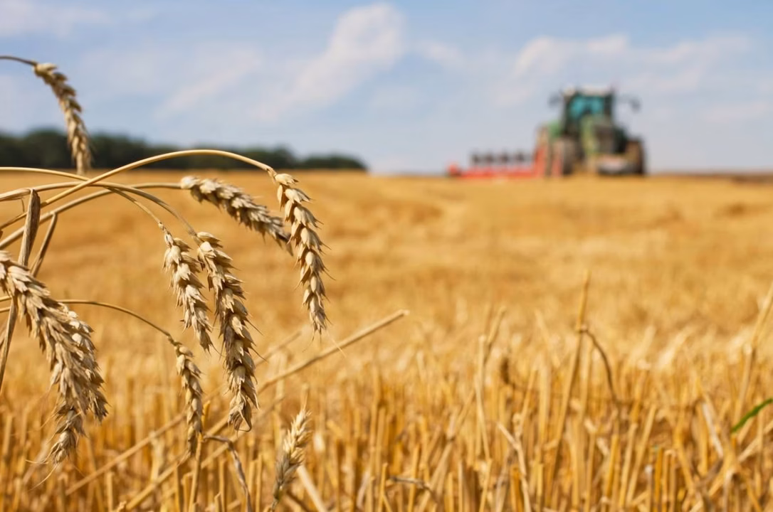 L&rsquo;agriculture biodynamique: principes et pratiques