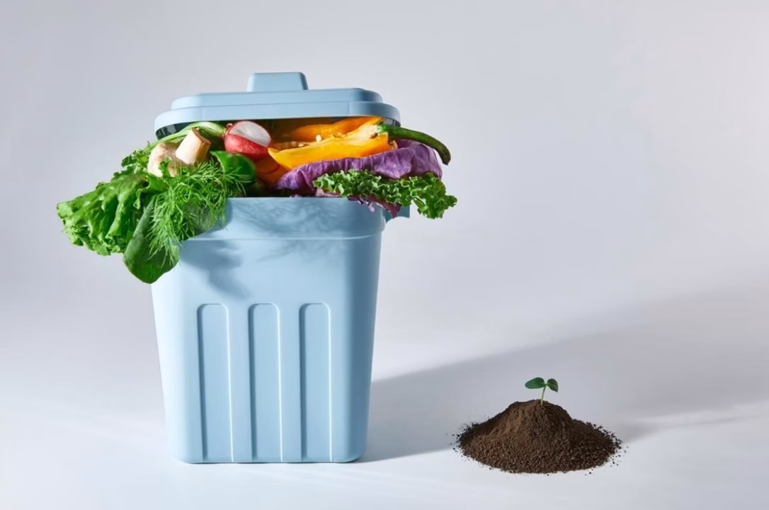 Visuel : Utiliser ton compost mûr : doses, calendrier et bénéfices pour le potager